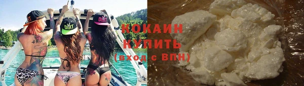 гашик Майский