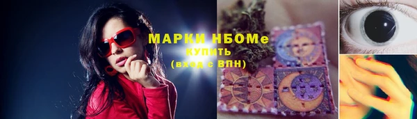гашик Майский