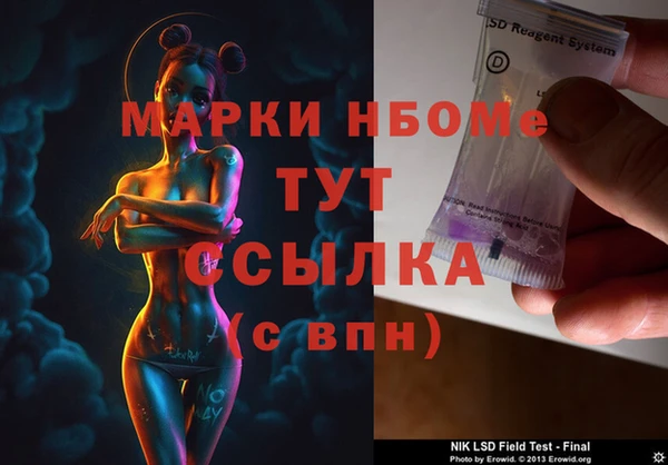 гашик Майский