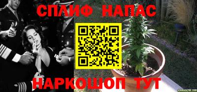 прущие грибы Берёзовский