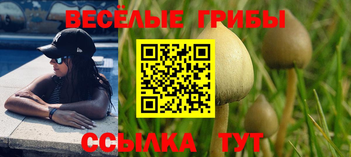 Галлюциногенные грибы GOLDEN TEACHER  Вход с VPN  Псилоцибиновые грибы Psilocybine cubensis  Рязань 