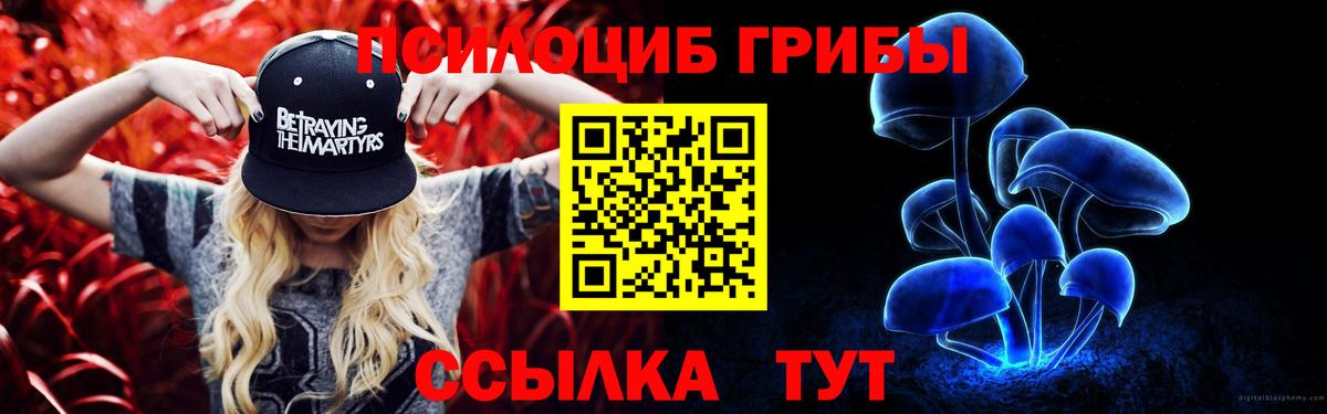 цены   Рязань  Галлюциногенные грибы Psilocybe  Псилоцибиновые грибы GOLDEN TEACHER 